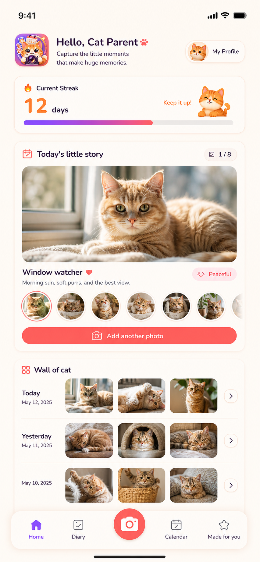 Cat Diary home screen showing a photo streak and today's little story